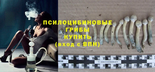 а пвп мука Абаза